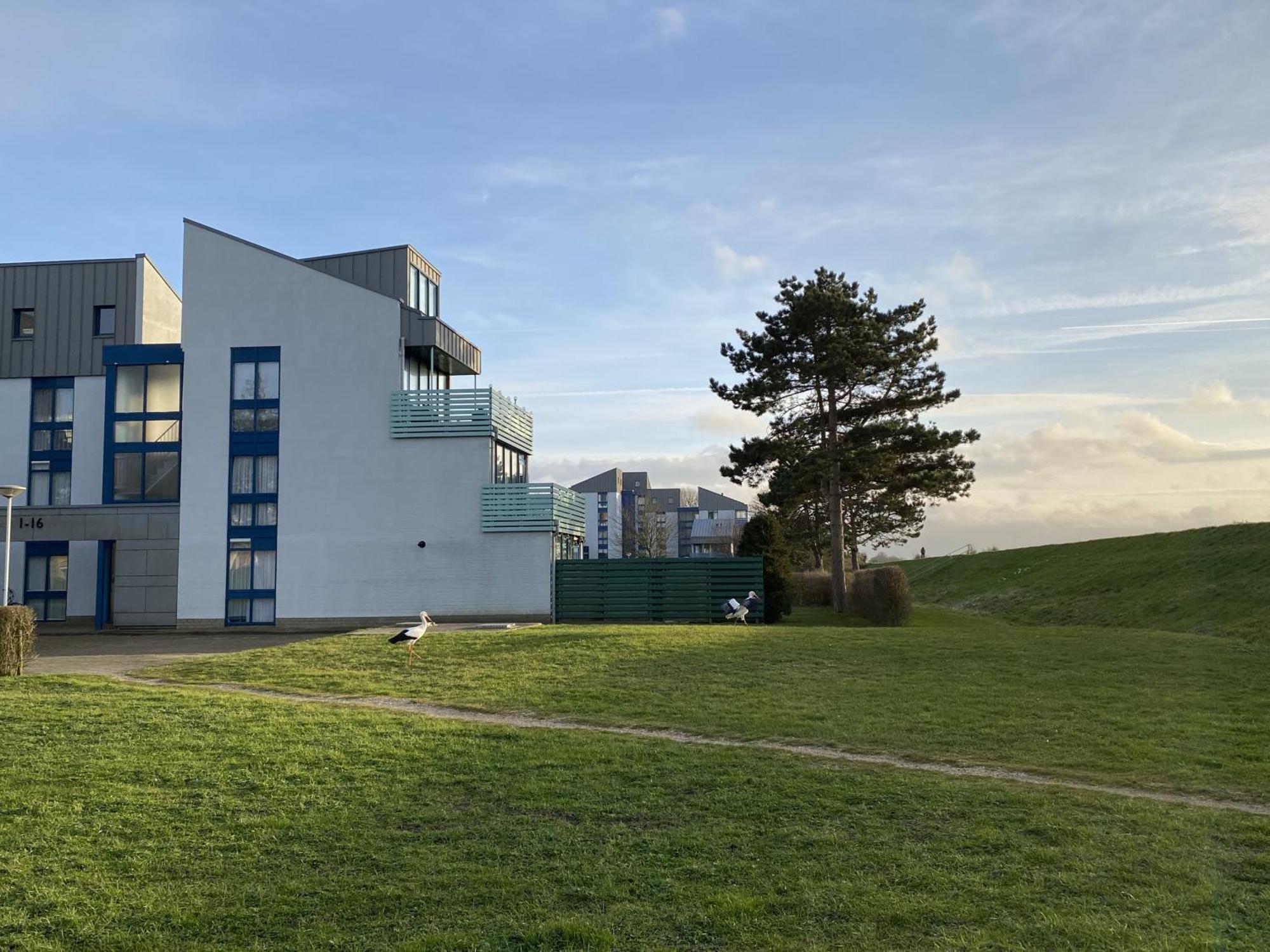 The Green Studio, Lopinge 94 Cadzand Exterior photo